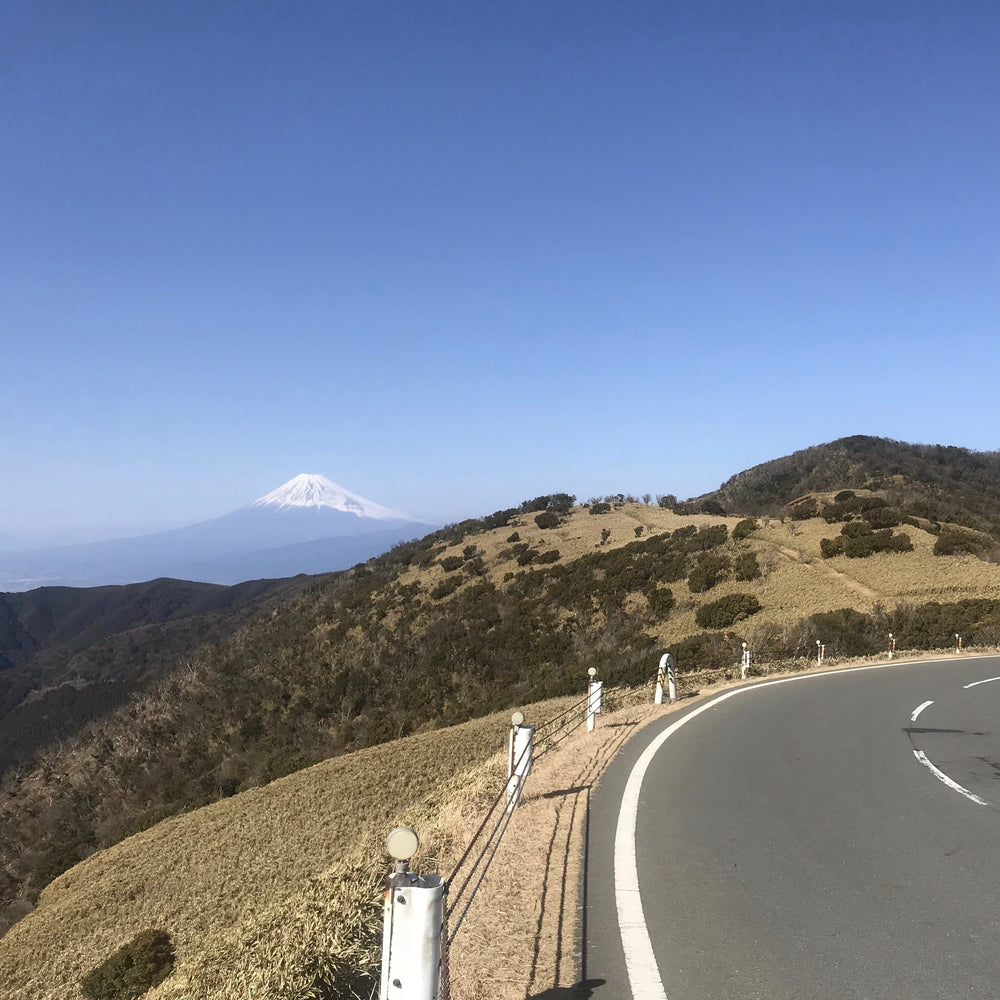 Japanese Terrain